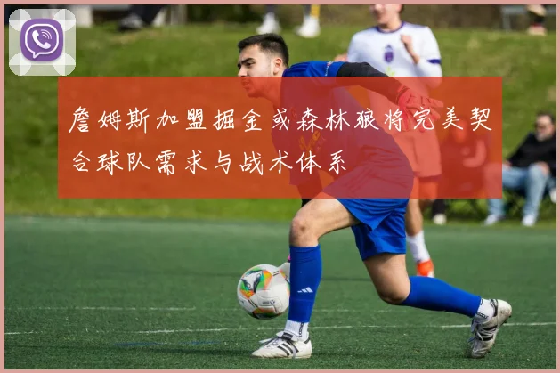 詹姆斯加盟掘金或森林狼将完美契合球队需求与战术体系