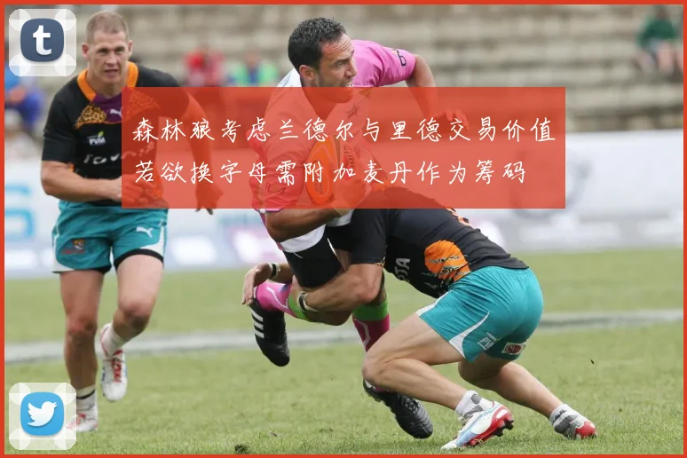 森林狼考虑兰德尔与里德交易价值若欲换字母需附加麦丹作为筹码