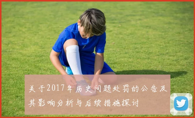 关于2017年历史问题处罚的公告及其影响分析与后续措施探讨