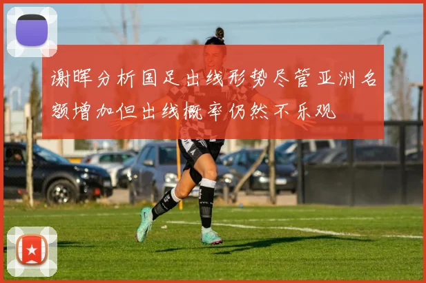 谢晖分析国足出线形势尽管亚洲名额增加但出线概率仍然不乐观